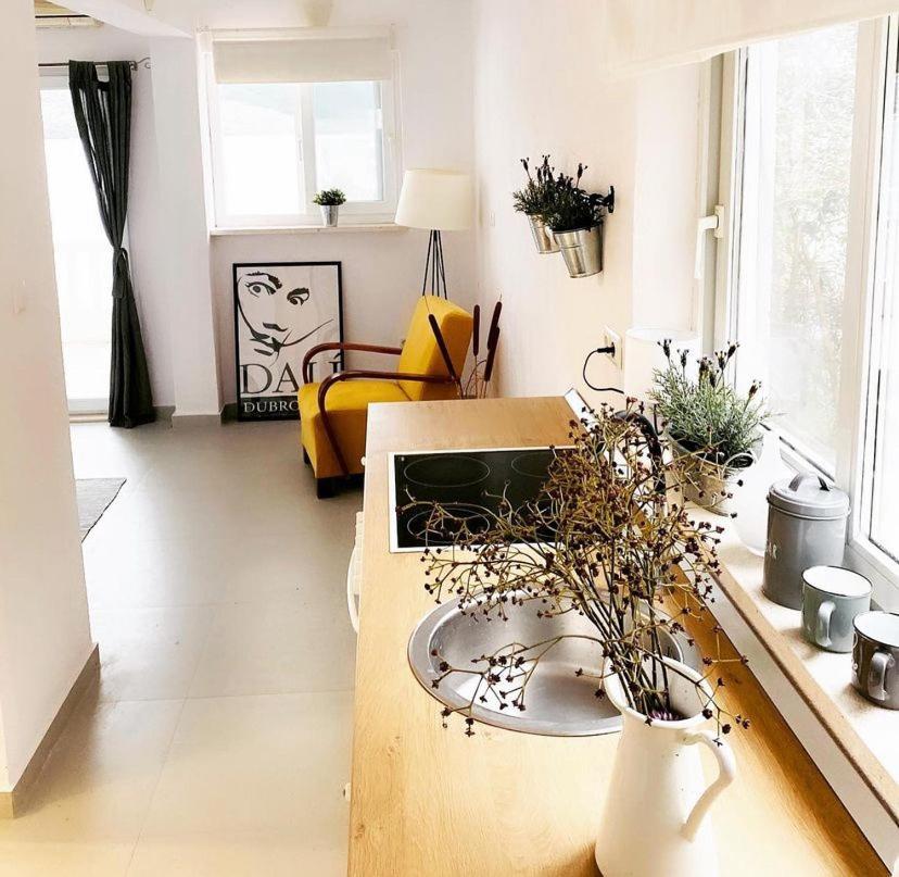 클레크 House Paula 아파트 외부 사진